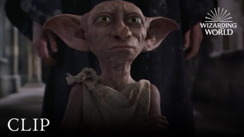 Dobby é um Elfo Livre – Harry Potter e a Câmara Secreta