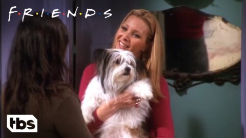 Friends: Chandler Não Gosta de Cachorros