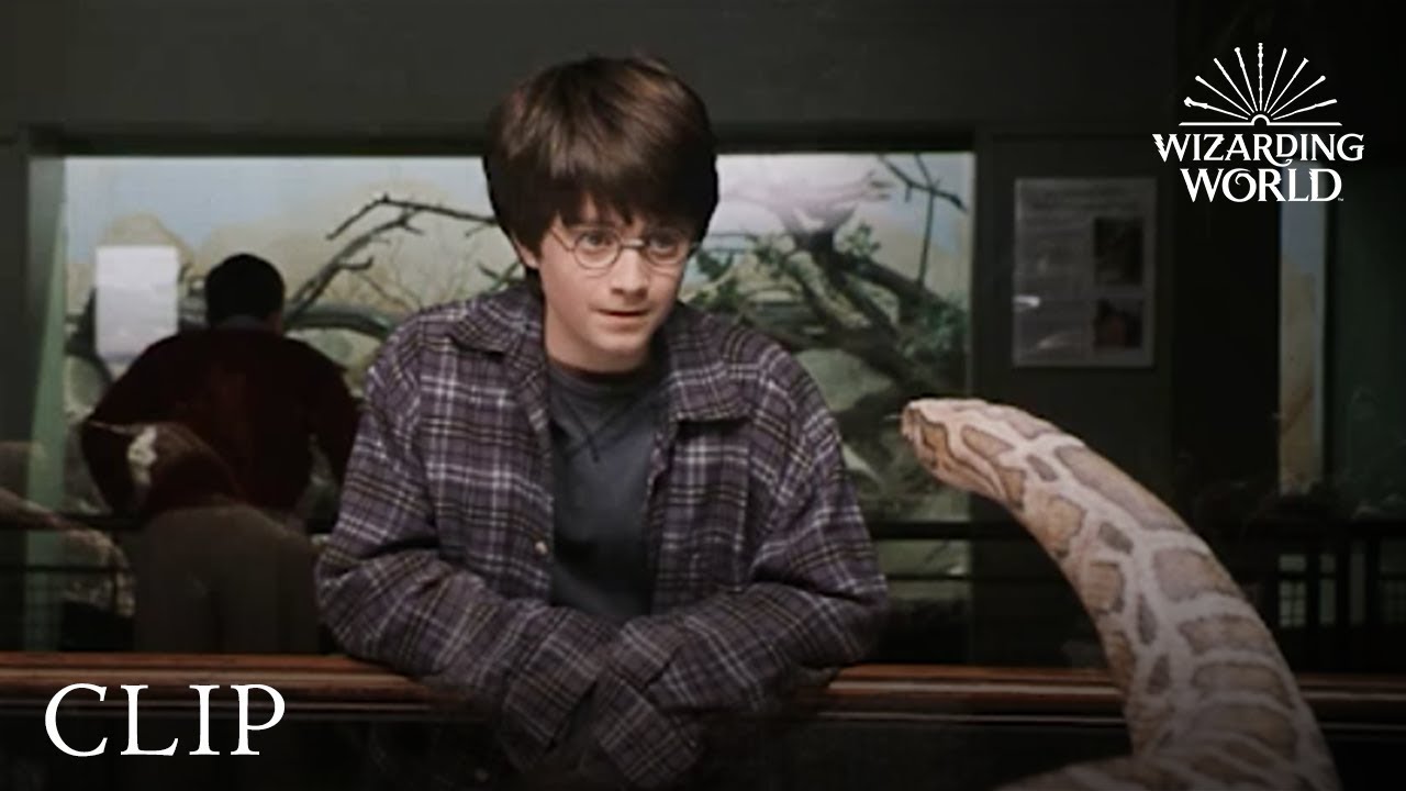 Harry e a Cobra – Harry Potter e a Pedra Filosofal