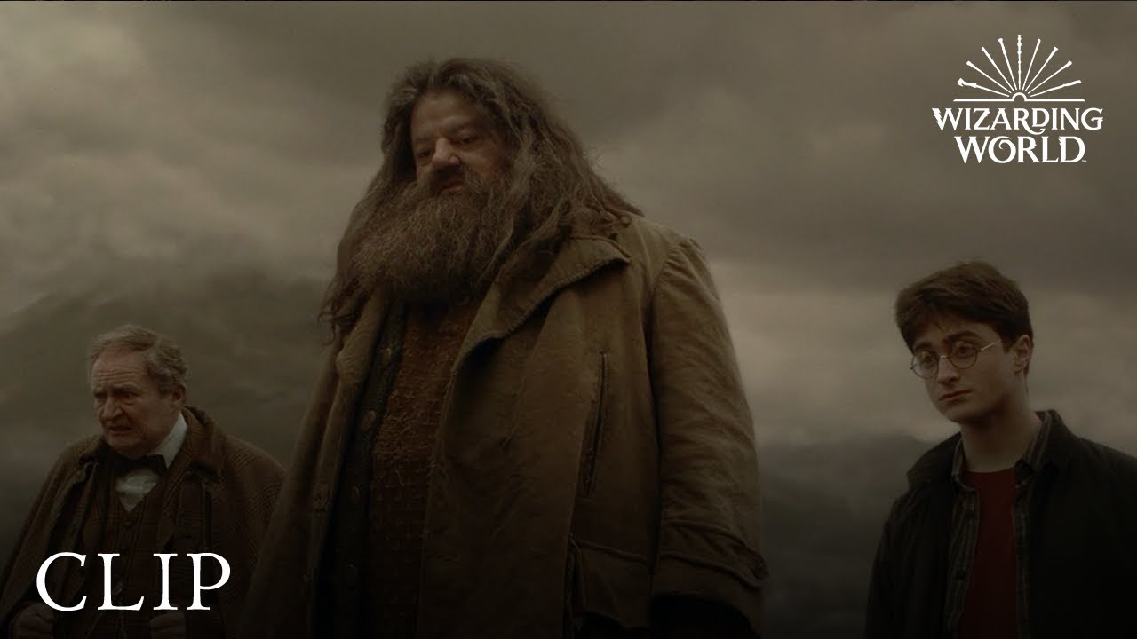 Harry Participa do Funeral de Aragogue – Harry Potter e o Enigma do Príncipe