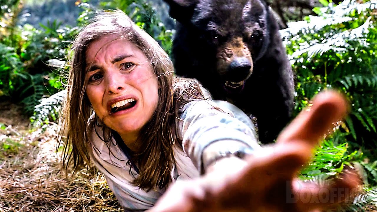 Aventureiros Estúpidos VS Urso – O Urso do Pó Branco