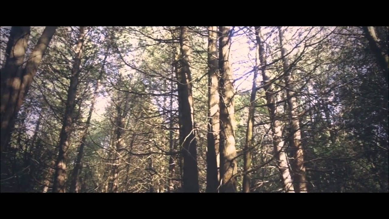 Keaton Henson – Flesh And Bone