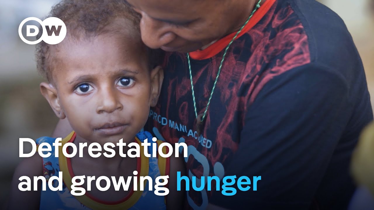 A Crise Do Sagu Na Indonésia | DW Documentary