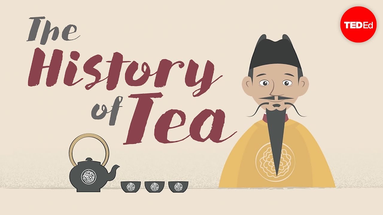 A História Do Chá – Shunan Teng