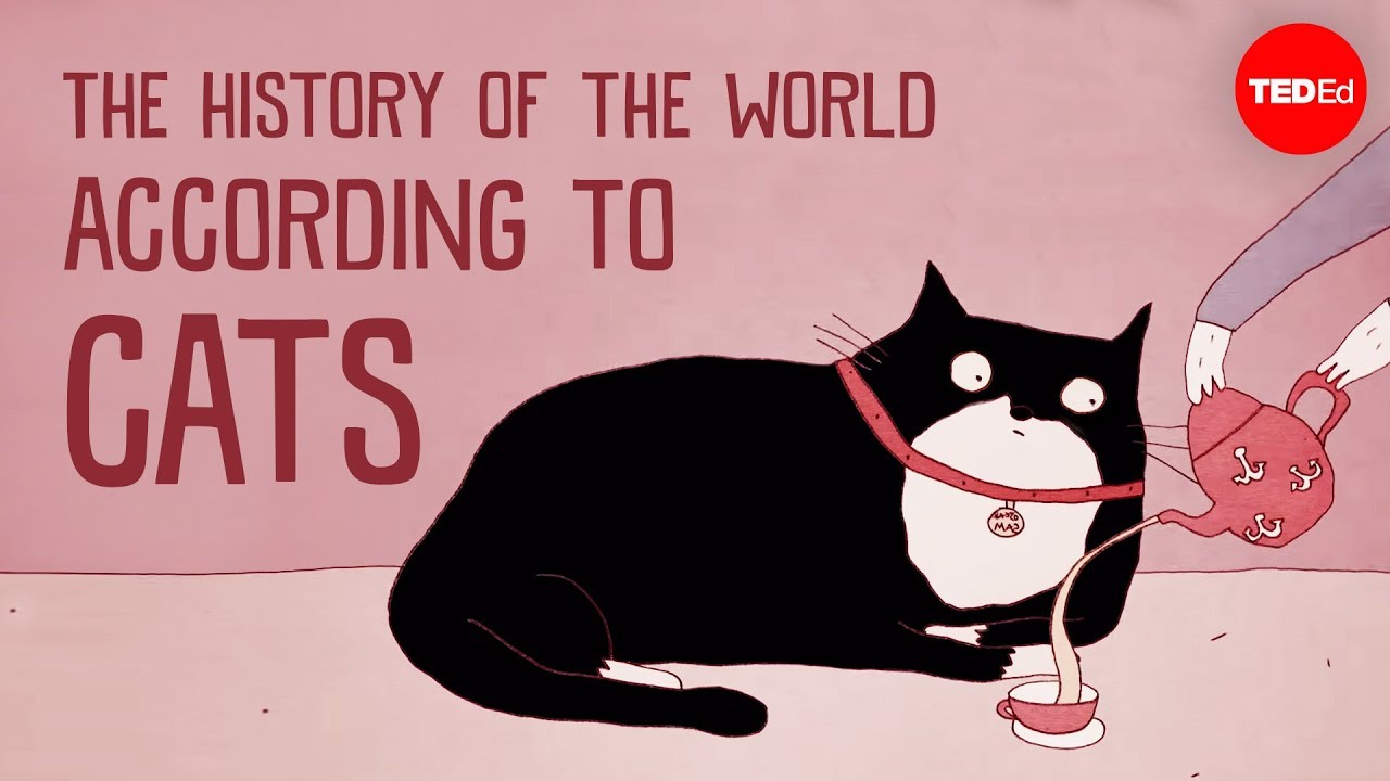 A História Do Mundo De Acordo Com Os Gatos – Eva-Maria Geigl
