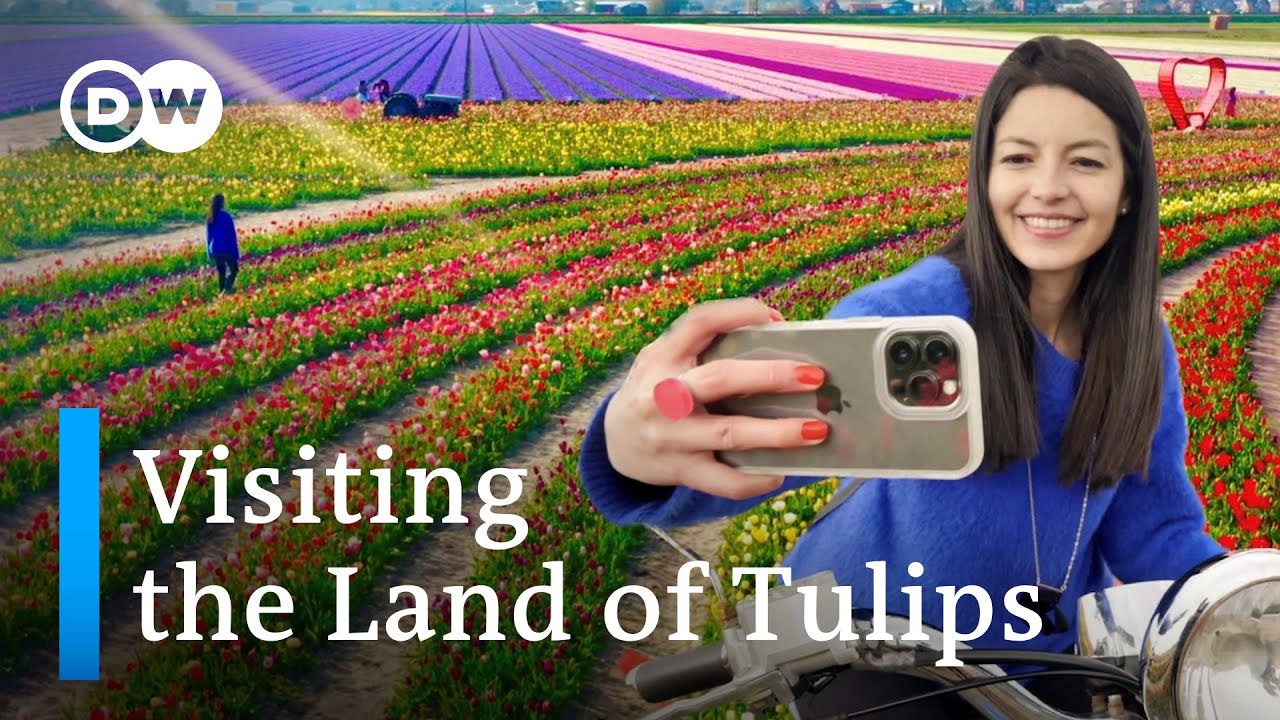 A Holanda Na Primavera: Keukenhof E Tulip Barn – Vale A Pena a Fama Das Tulipas?