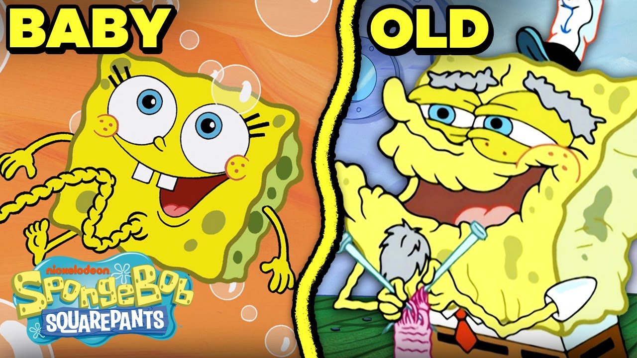 As Fases Da Vida De Bob Esponja! Do Bebê Esponja Ao Idoso | Bob Esponja