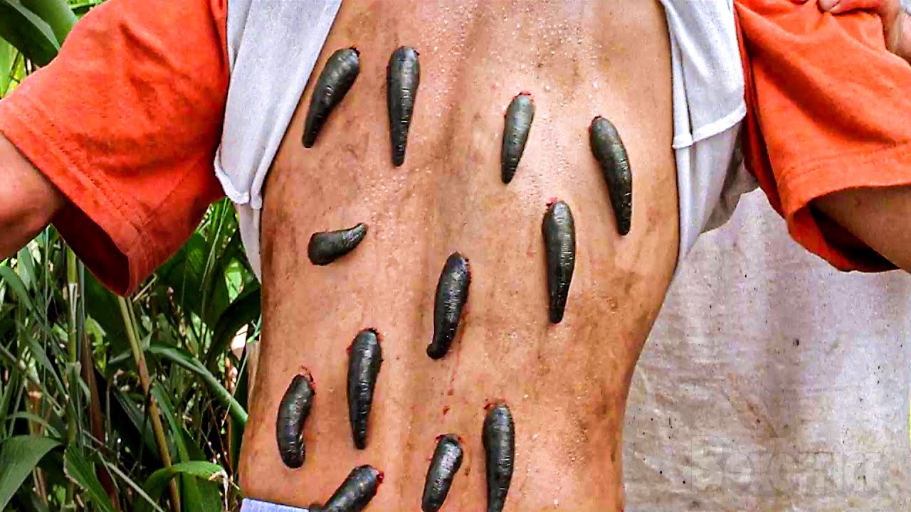 As Sanguessugas O Sugam Até O Fim | Anacondas: A Caça À Orquídea De Sangue