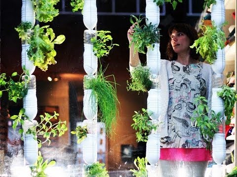 Britta Riley – Um Jardim Em Meu Apartamento