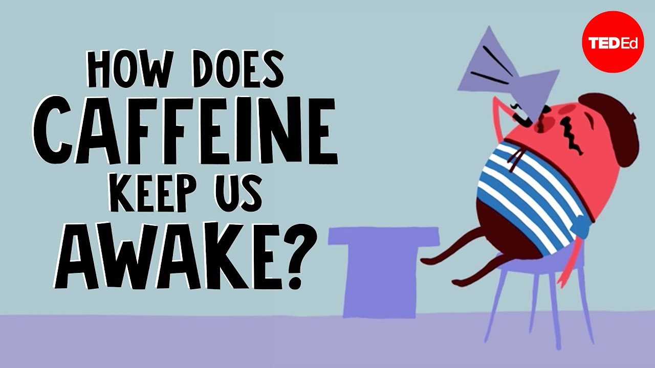Como A Cafeína Nos Mantém Acordados? – Hanan Qasim
