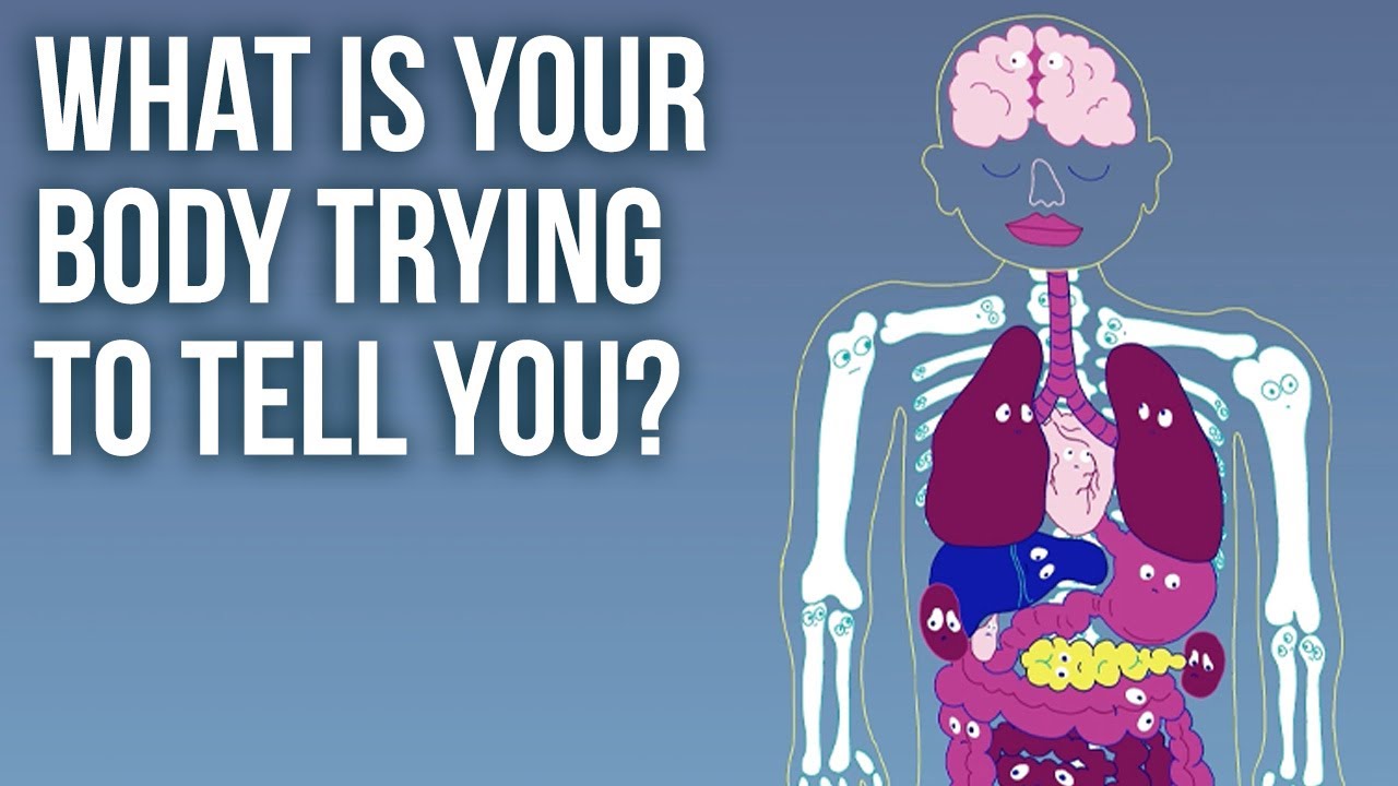 Como Ouvir Seu Corpo