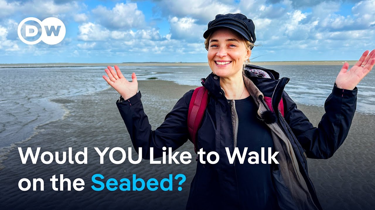 Descubra O Parque Nacional Do Mar De Wadden Na Costa Alemã Do Mar Do Norte!