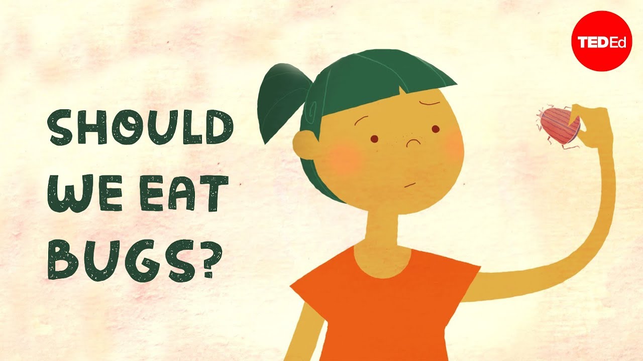 Devemos Comer Insetos? – Emma Bryce