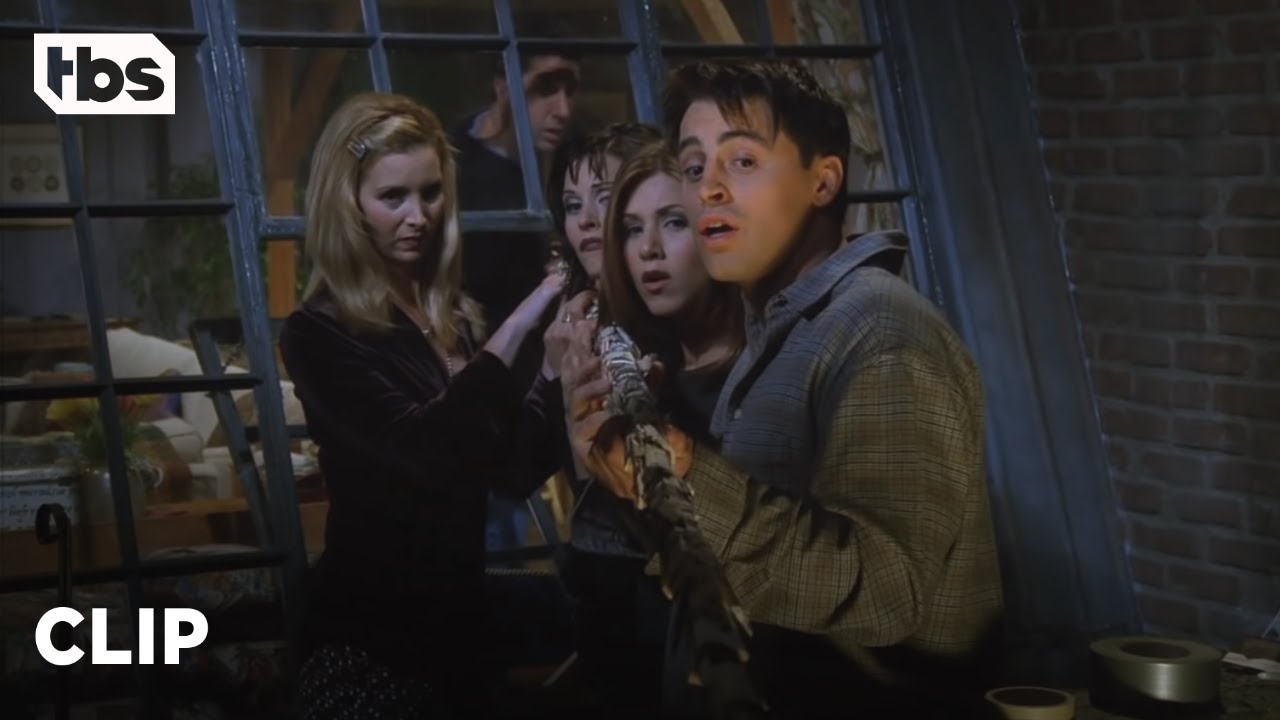 Friends: O Cara Feio E Nu Morreu?!