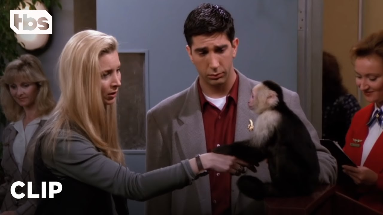 Friends: Ross Tem Que Dizer Adeus A Marcel