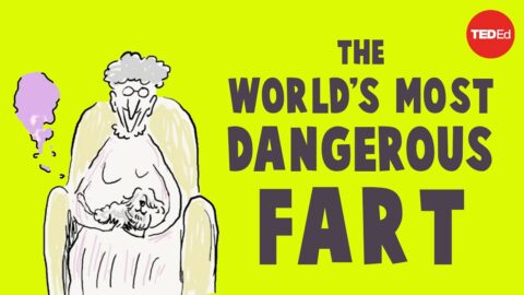 O Peido Mais Perigoso Do Mundo – Nick Caruso E Dani Rabaiotti