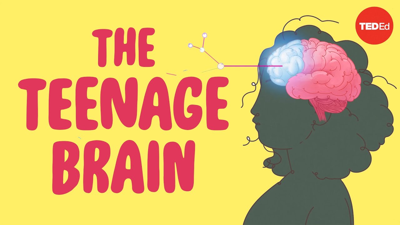 O Que A Educação Sexual Não Lhe Diz Sobre Seu Cérebro – Shannon Odell