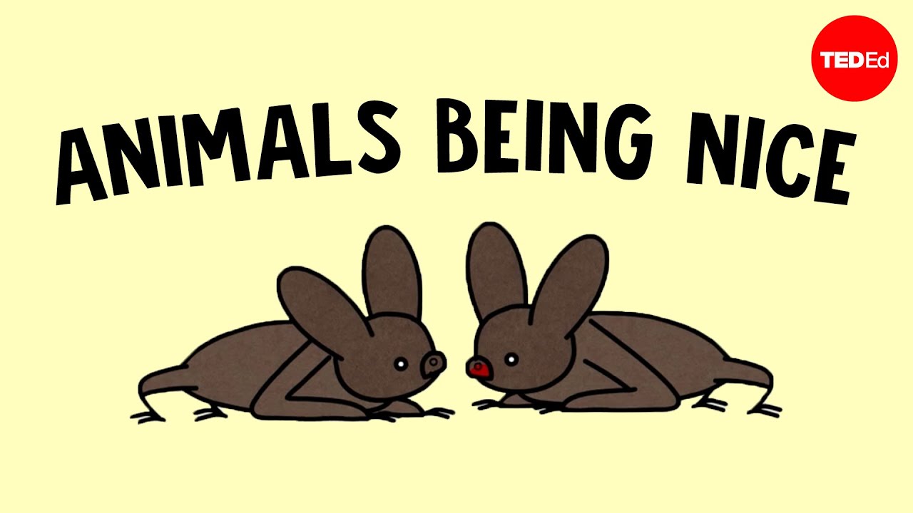 Por Que Os Animais Ajudam Uns Aos Outros – Ashley Ward