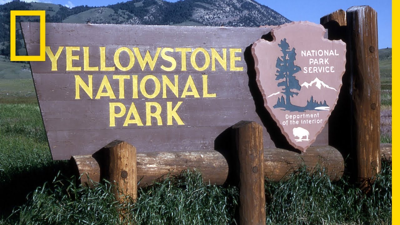 Uma Breve História Do Parque Nacional De Yellowstone | National Geographic