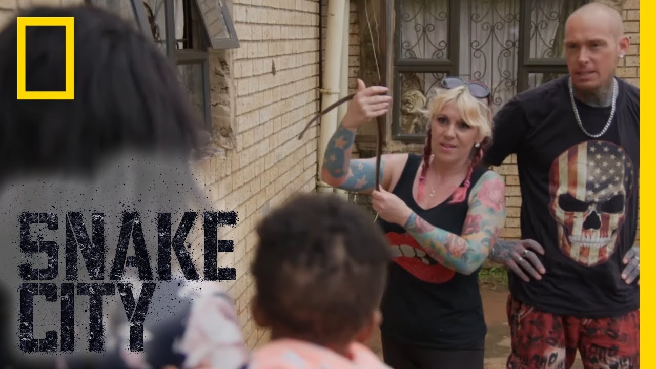 Uma Cobra Escondida Em Uma Cozinha | Snake City