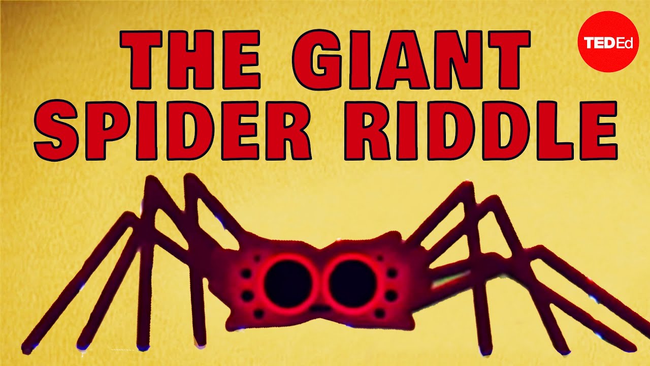 Você Consegue Resolver O Enigma Da Aranha Gigante? – Dan Finkel