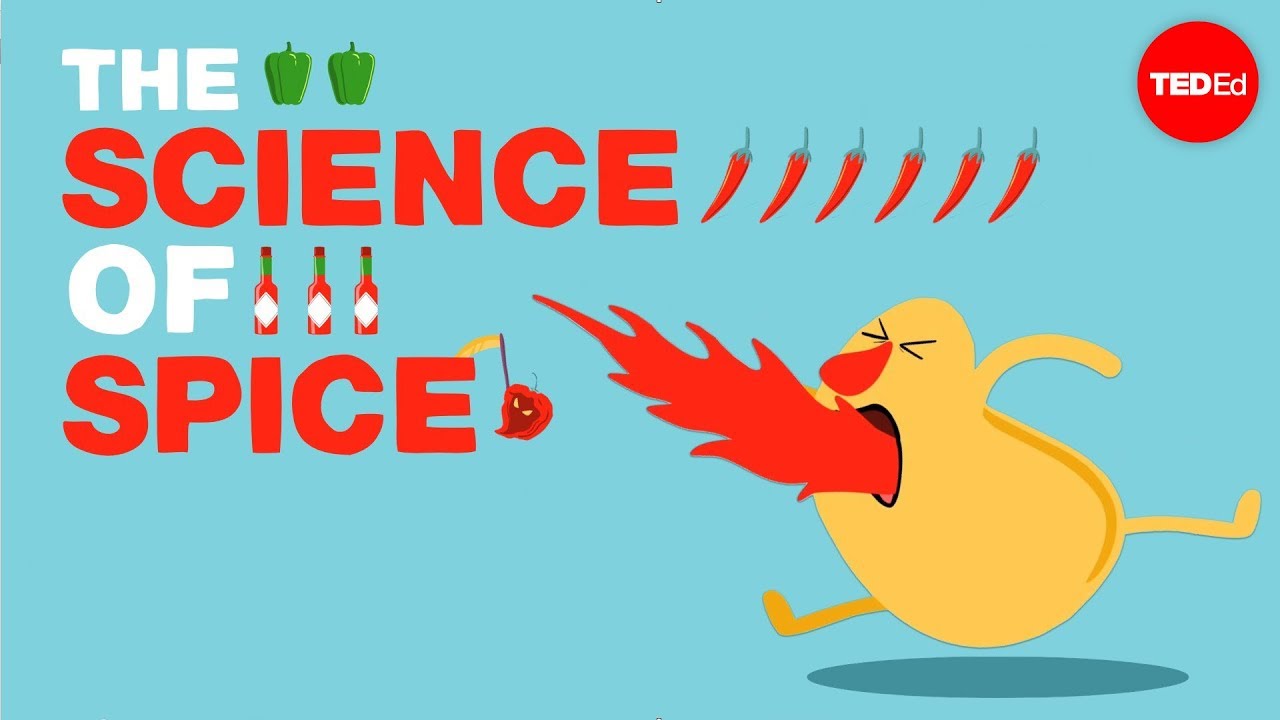 A Ciência Do Sabor Picante – Rose Eveleth