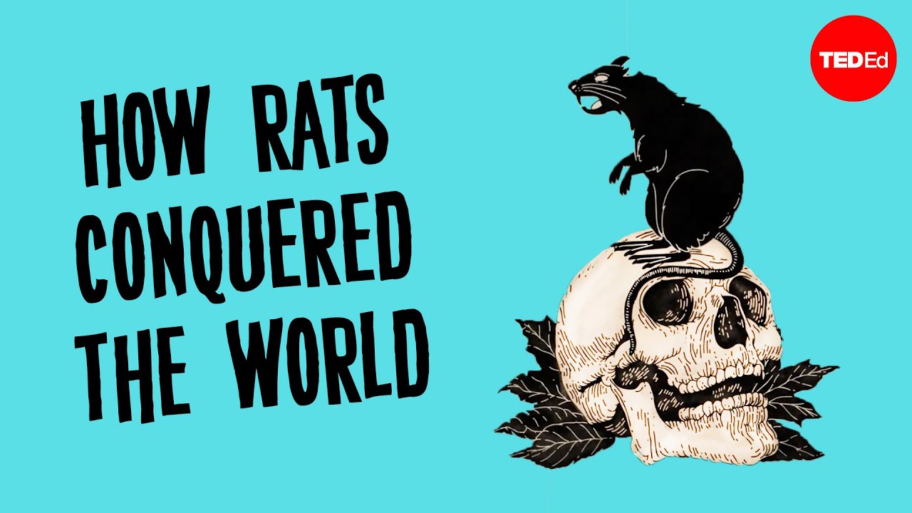 A História Do Mundo De Acordo Com Os Ratos – Max G. Levy
