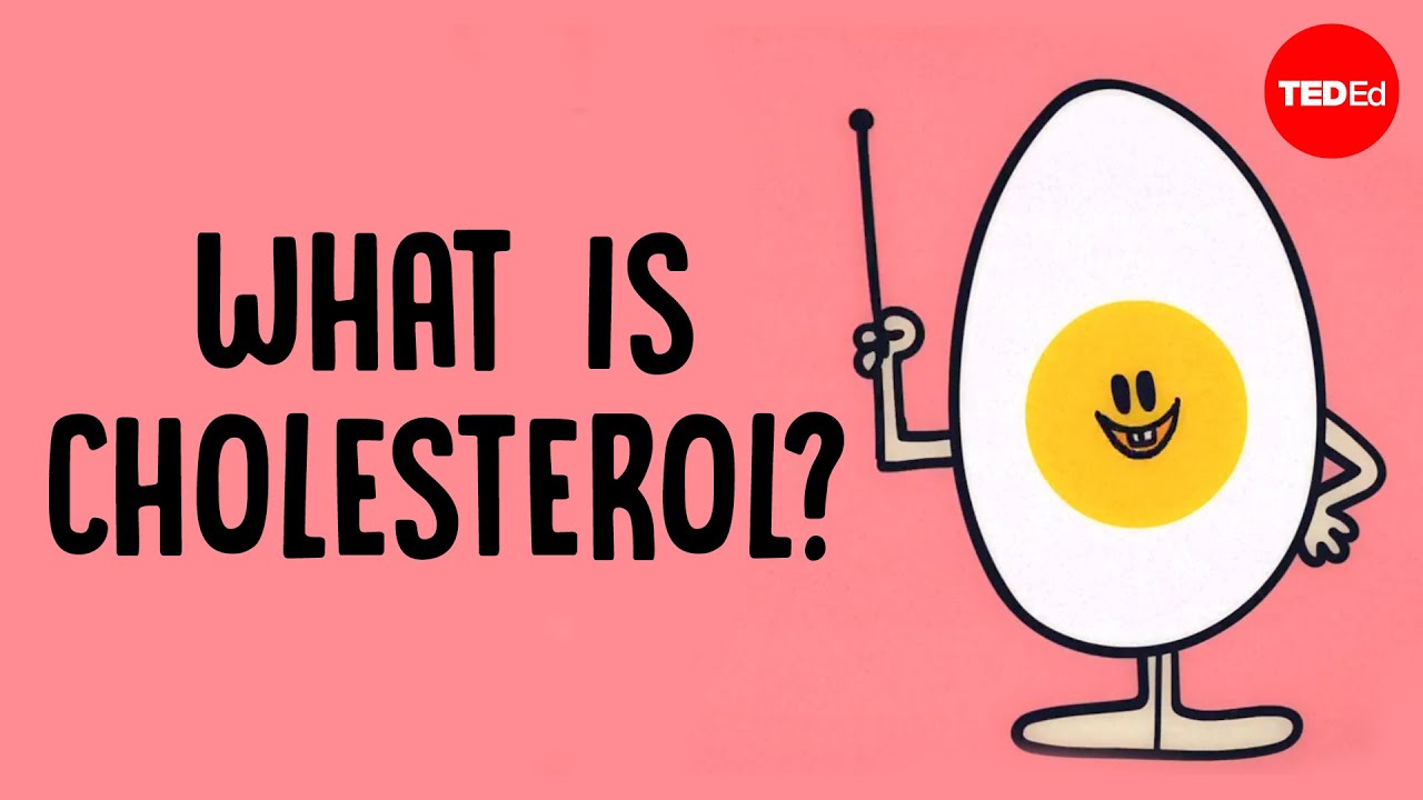O Que Realmente Causa O Colesterol Alto? Hei Man Chan