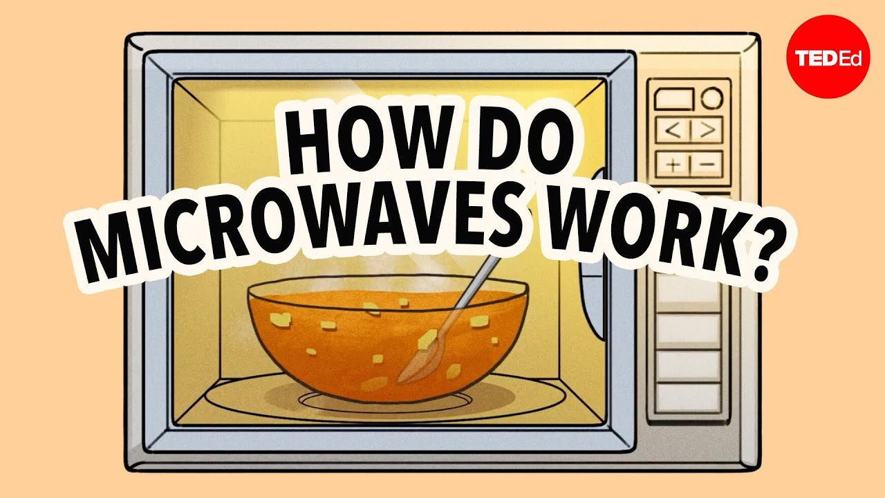 Por Que Não Se Pode Colocar Metal Em Um Micro-Ondas? –  Aaron Slepkov