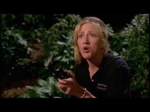 Família Soprano: Alguém Arrombando Uma Janela – The Sopranos