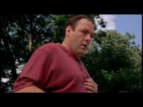 Família Soprano: Episódio 1 De Os Sopranos: Os Patos Saem Da Piscina, Tony Tem Um Ataque De Pânico