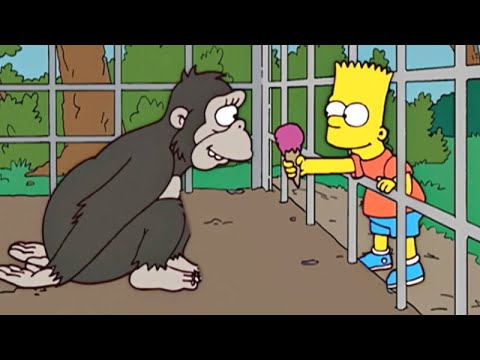 Os Simpsons: A História Do Zoológico Dos Simpsons