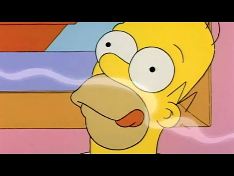 Os Simpsons: Homer Arruinou O Churrasco Do Neds