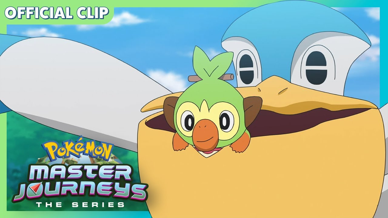 Pokémon: A Missão Dos Pelipper! | Jornadas Do Mestre Pokémon