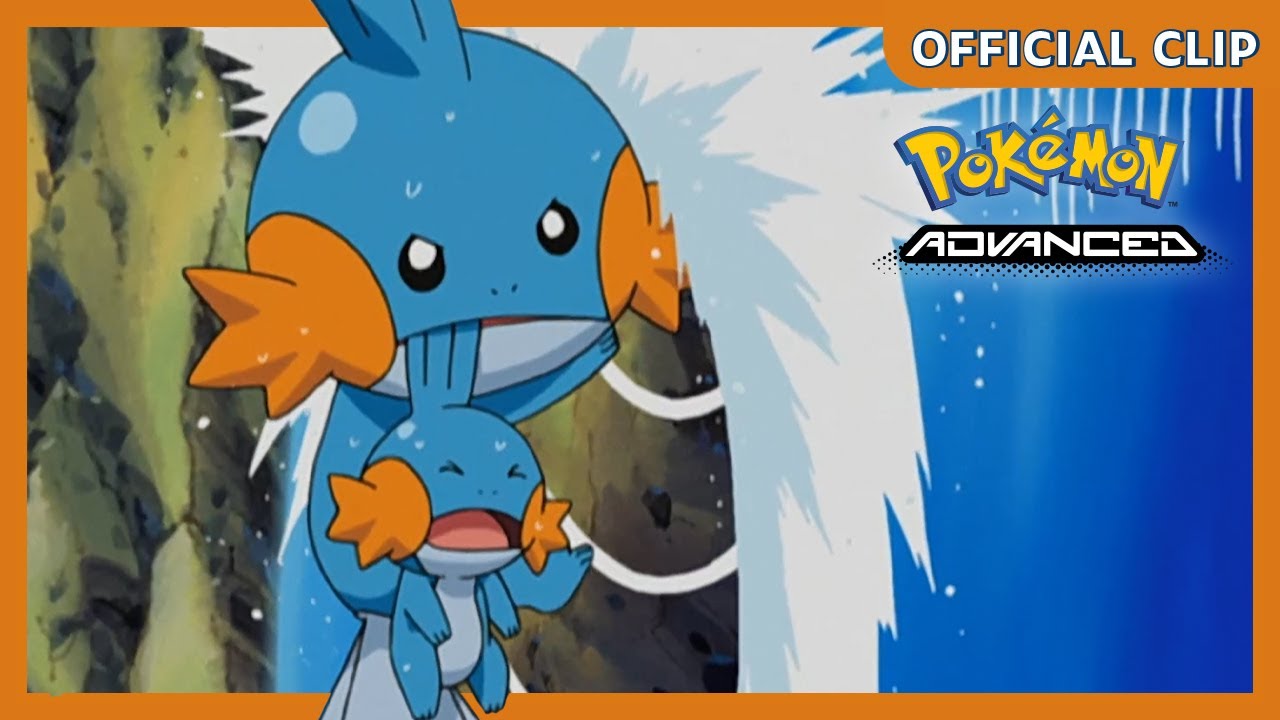 Pokémon: Baby Mudkip! | Oficial Clip Avançado