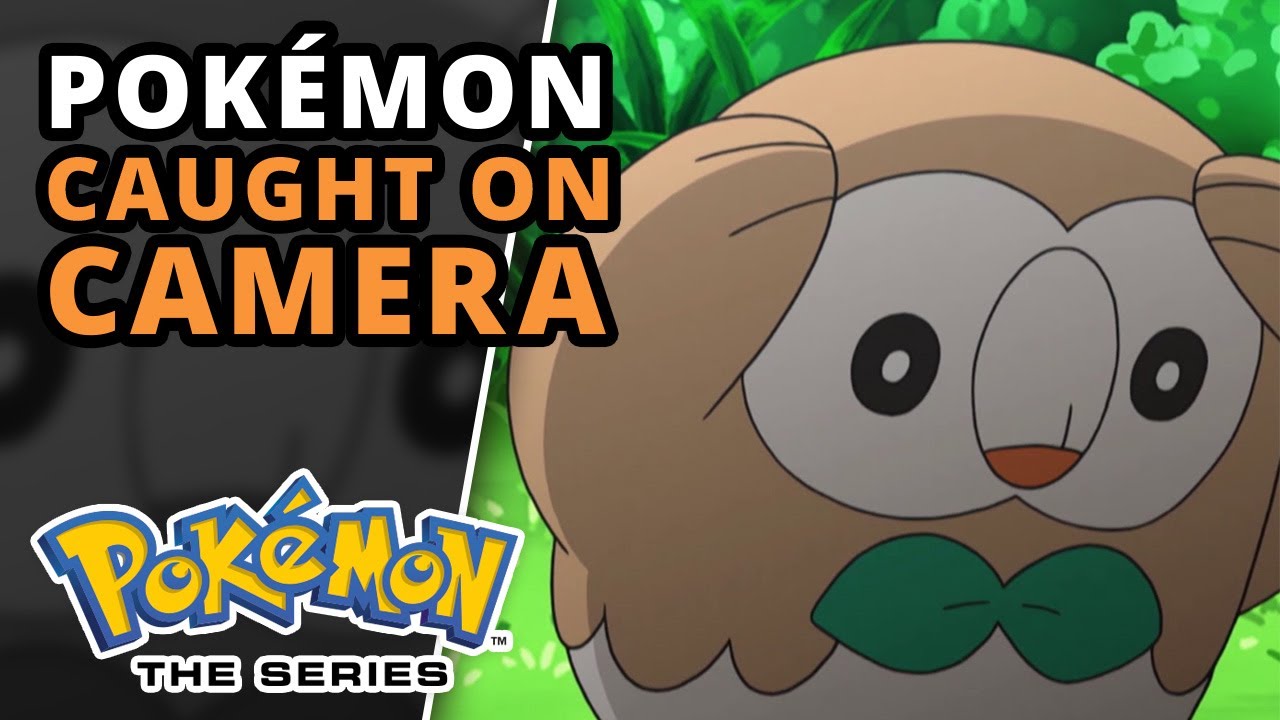 Pokémon: Compilação Mais Engraçada | Pokémon The Series