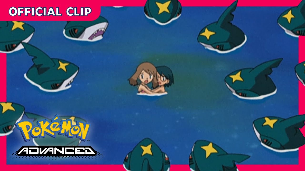 Pokémon: Natação Com Sharpedo