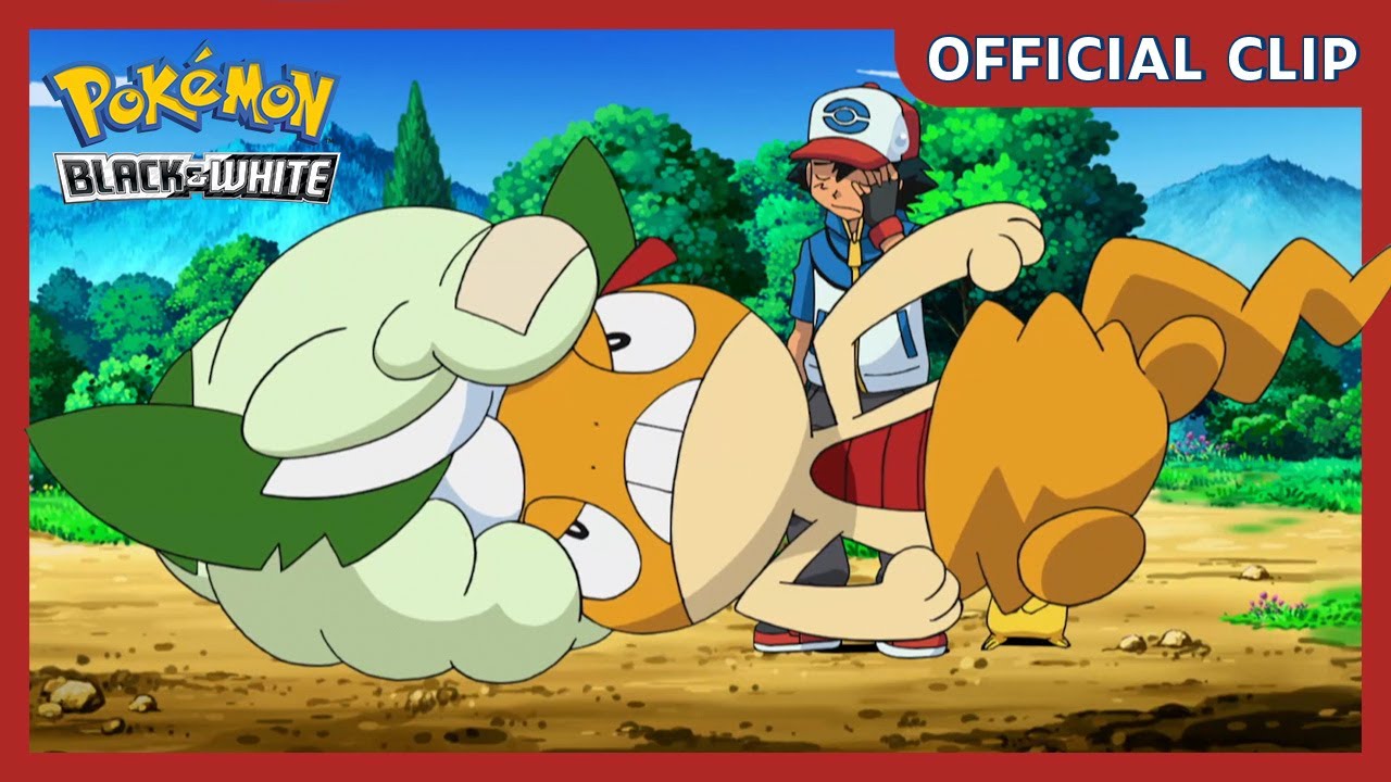 Pokémon: Scraggy E Cottonee | Pokémon – Black White | Clipe Oficial
