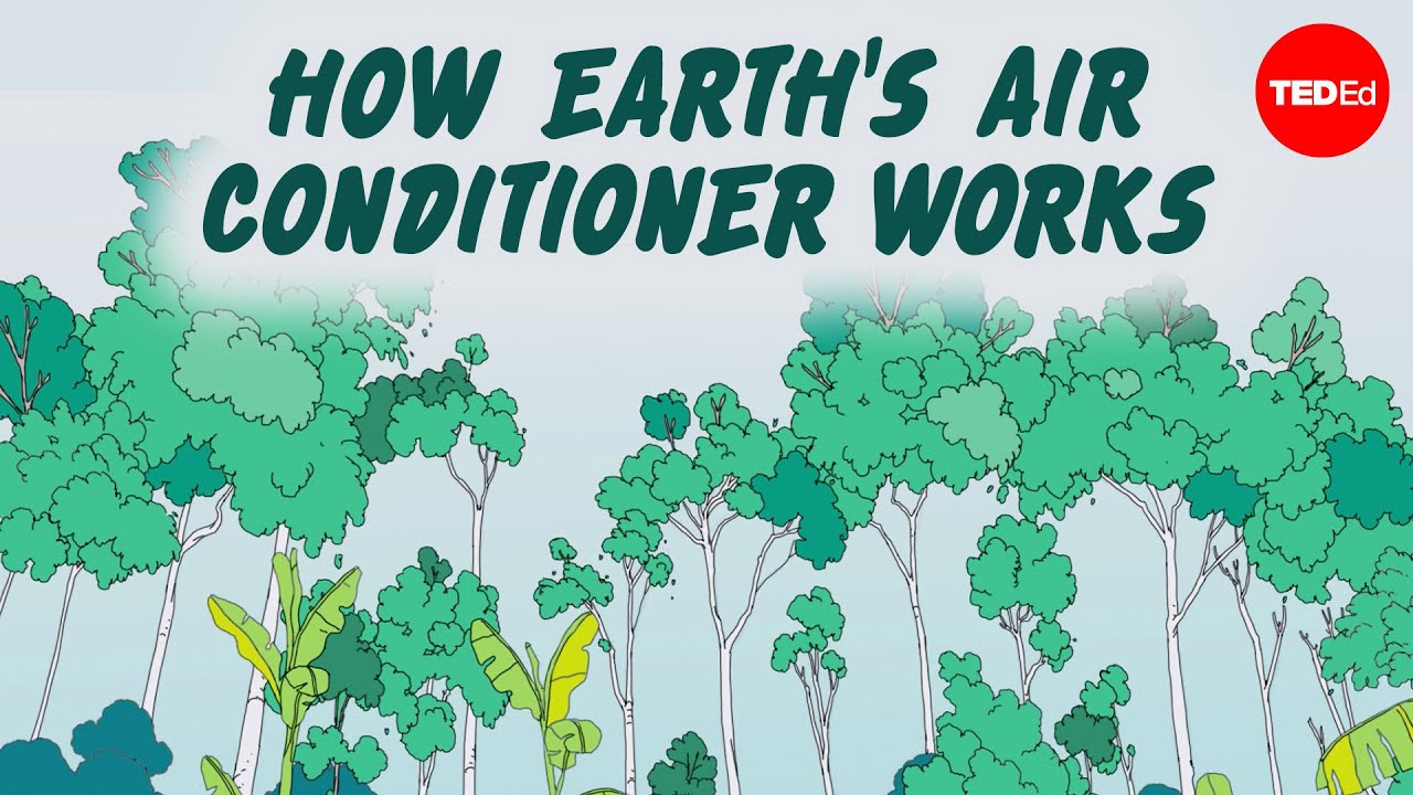 Por Que A Floresta Amazônica É Conhecida Como O Ar-Condicionado Da Terra? – Anna Rothschild