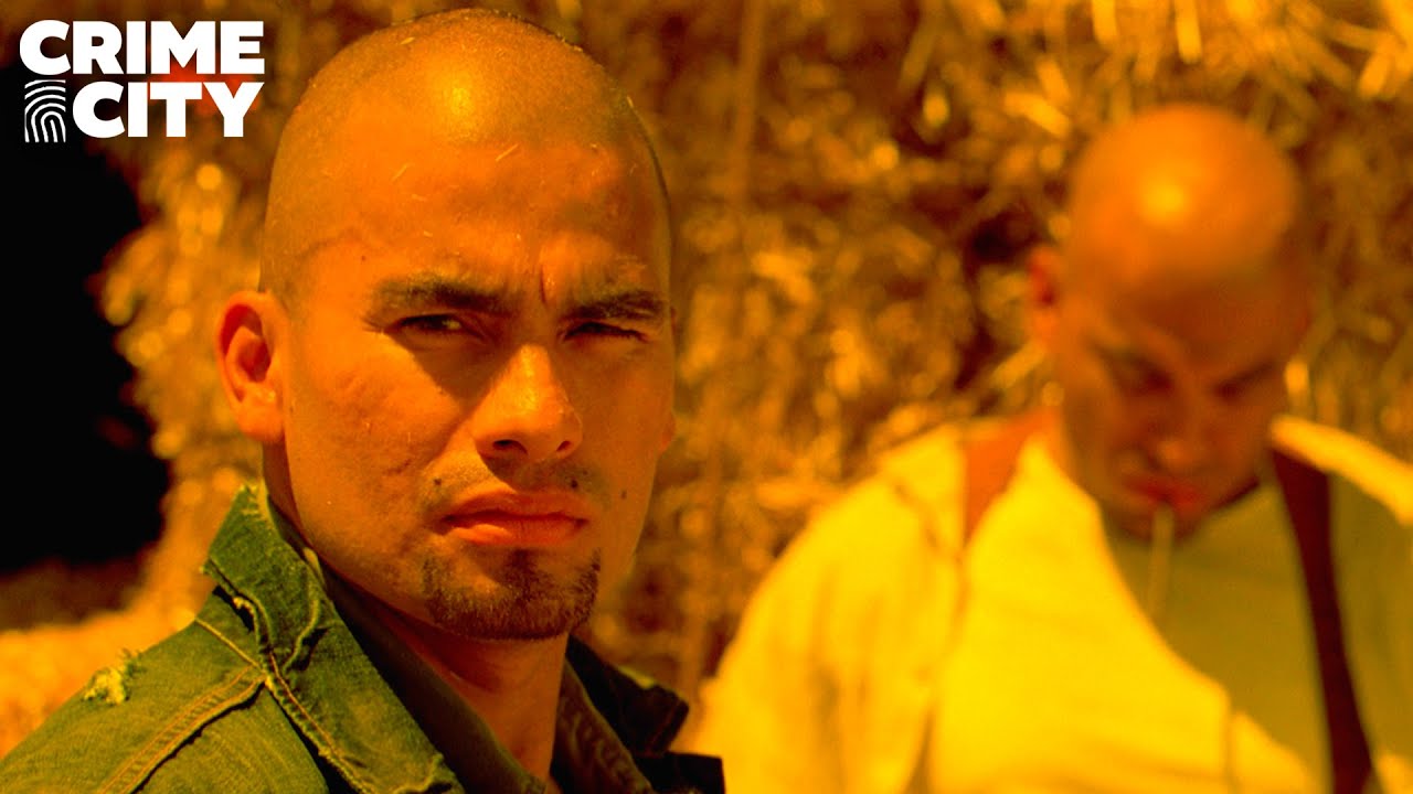 Breaking Bad: Gêmeos Salamanca Cruzam A Fronteira Dos Eua