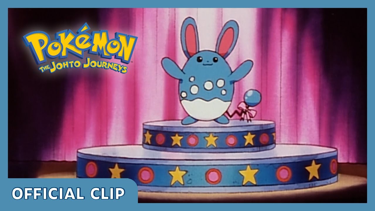Pokémon: Azumarill É A Estrela Do Show! | Pokémon – As Jornadas De Johto