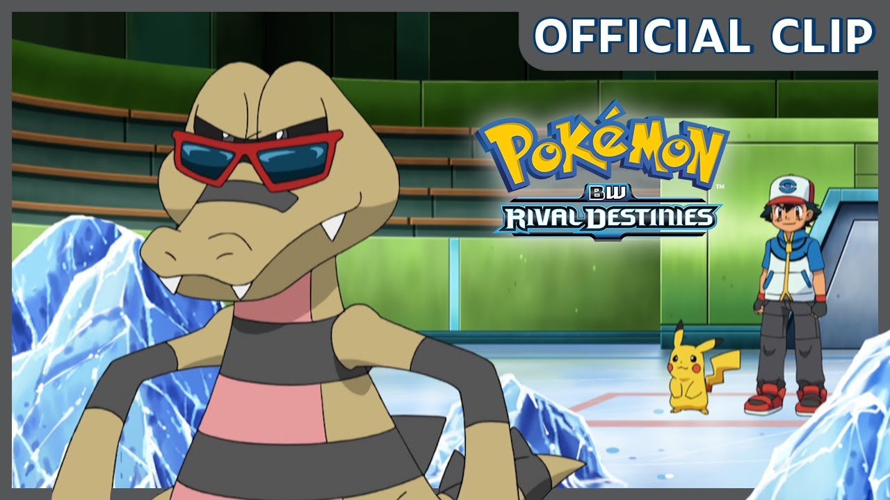 Pokémon: Beartic Vs. Krokorok | Destinos Rivais De Pokémon: Preto E Branco