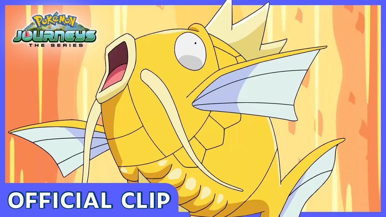 Pokémon: Magikarp Rasgado! | Pokémon Jornadas: A Série