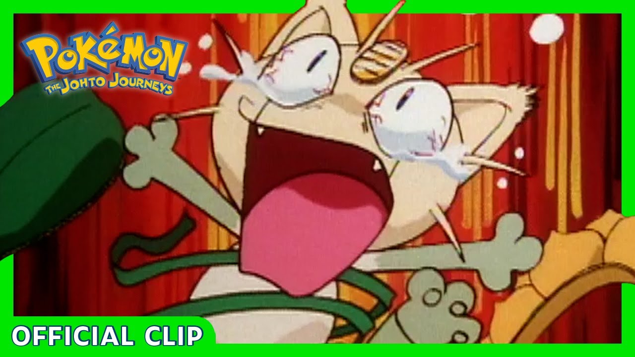 Pokémon: Meowth Disfarçado De Sunflora
