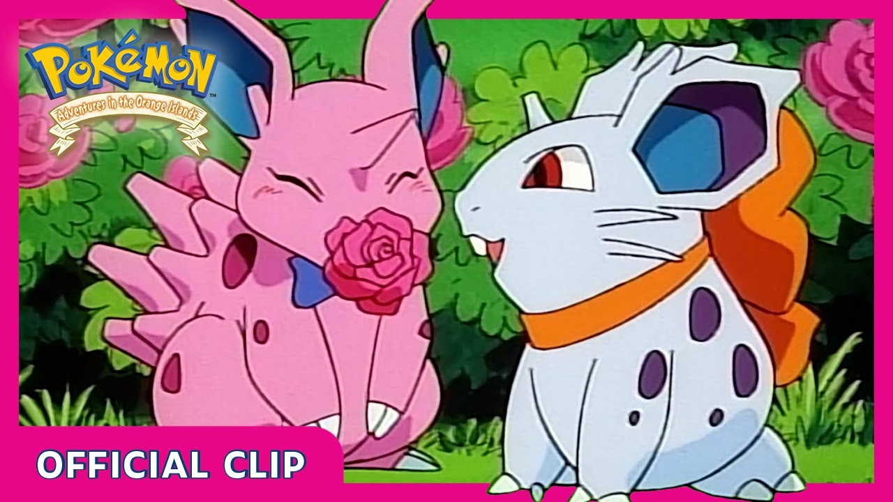 Pokémon: Nidoran Apaixonado! | Pokémon: Aventuras Nas Ilhas Laranja