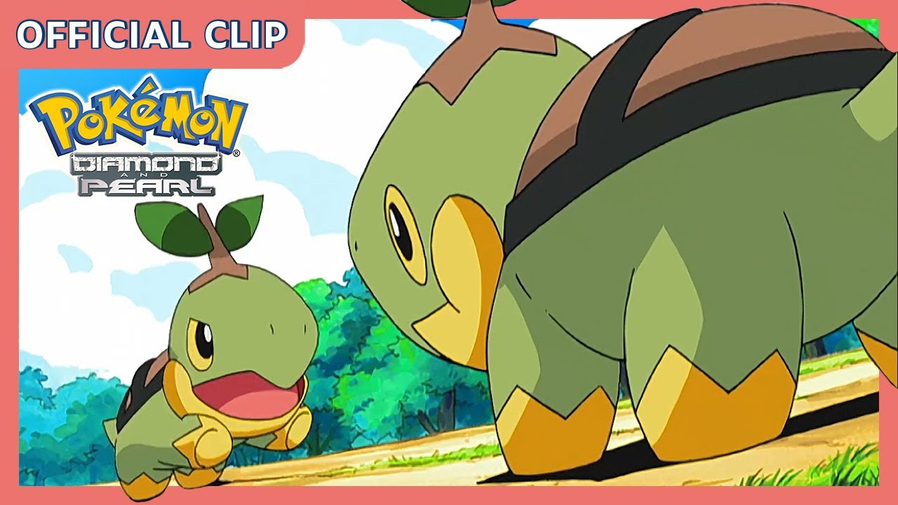 Pokémon: Turtwig Vs. Turtwig! | Pokémon: Diamante E Pérola