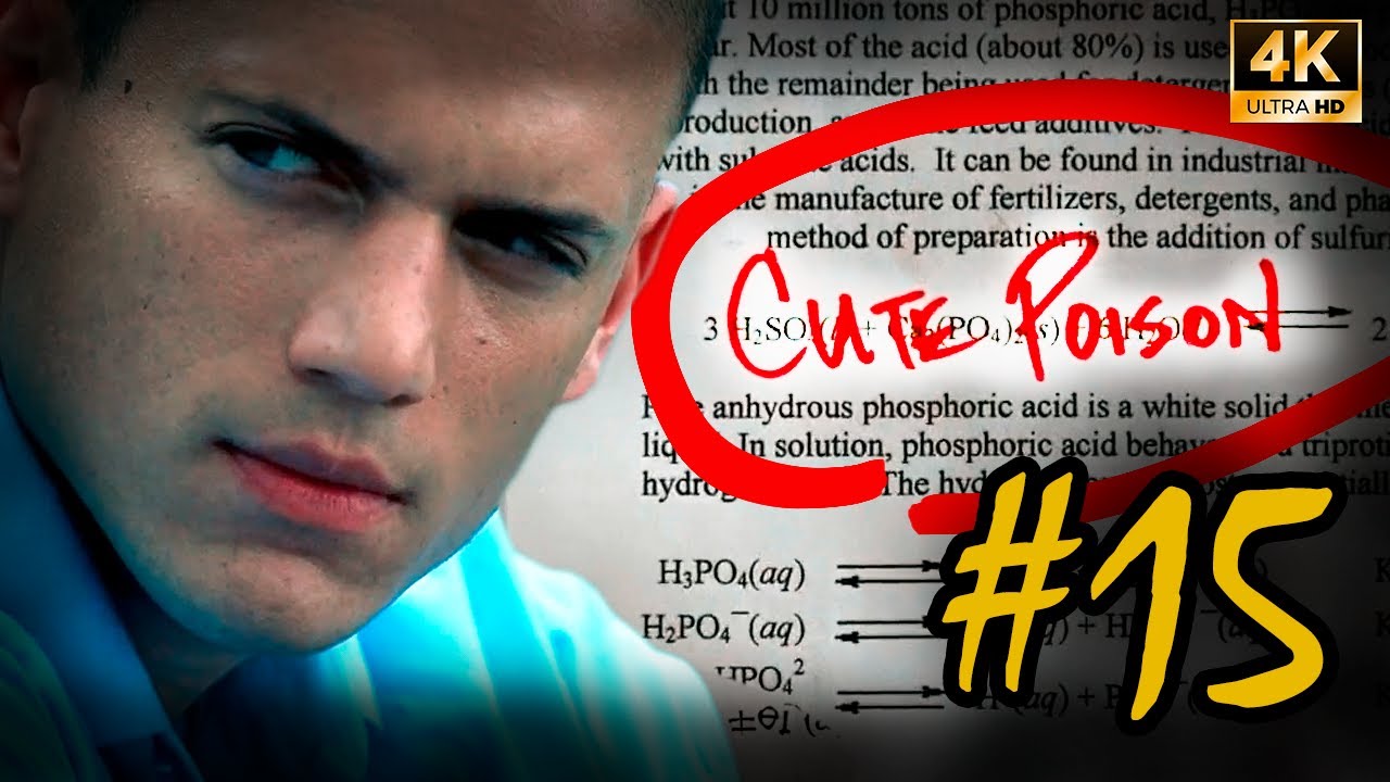 Prison Break: Michael Scofield Cria Veneno Fofo Para Escapar Da Prisão
