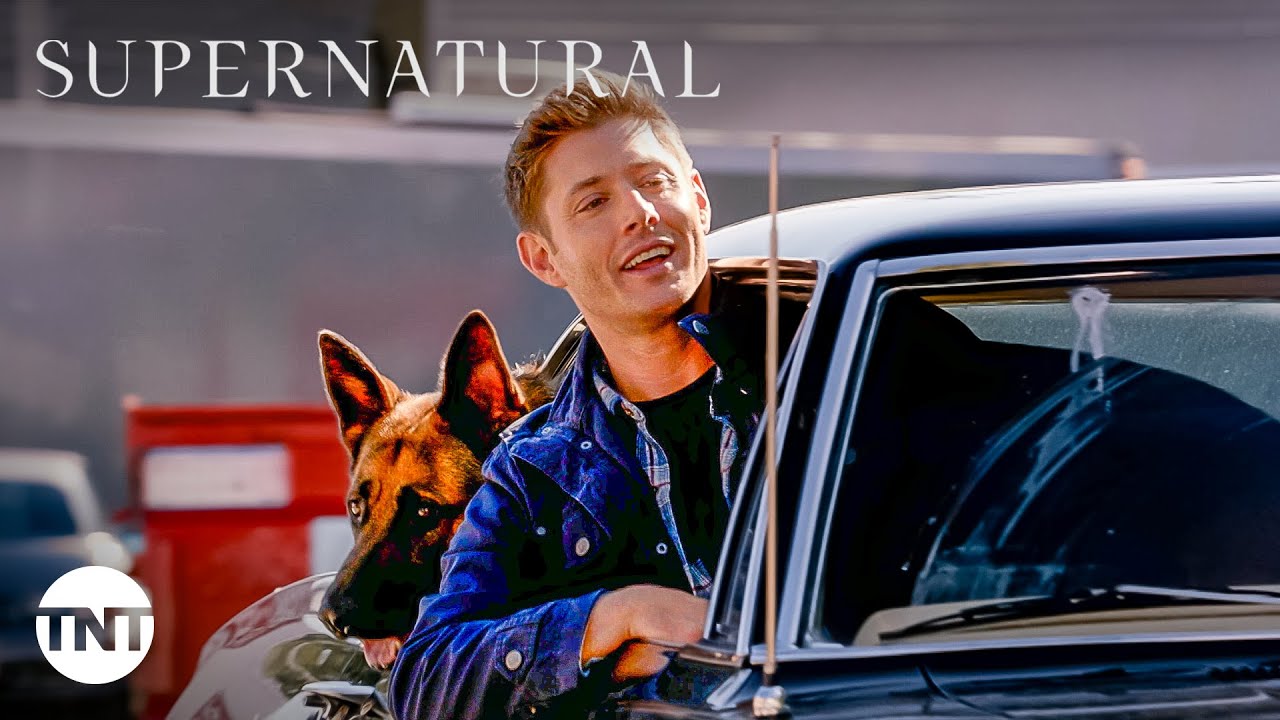 Supernatural: Dean Faz Uma Conexão Mental Com Um Pastor Alemão