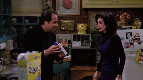 Friends: Aquele Com O Cara Doidão – 1×15