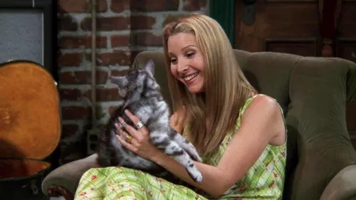 Friends: Aquele do Gato – 4×02